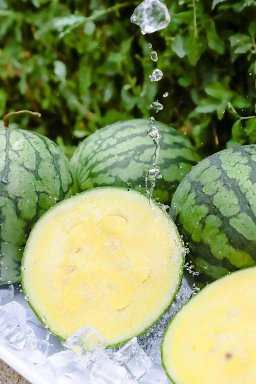 黑瓜吃料每日最新爆料166,揭秘166背后的惊人真相